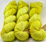 Hand Dyed Yarn "Sprung" Lime Chartreuse Acid Green Yellow Gold Merino Worsted Superwash 218 yds 100