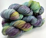 Hand Dyed Yarn "Hellebore" Green Blue Spruce Purple Plum Teal Lime Merino Bulky Superwash 106yds 100g
